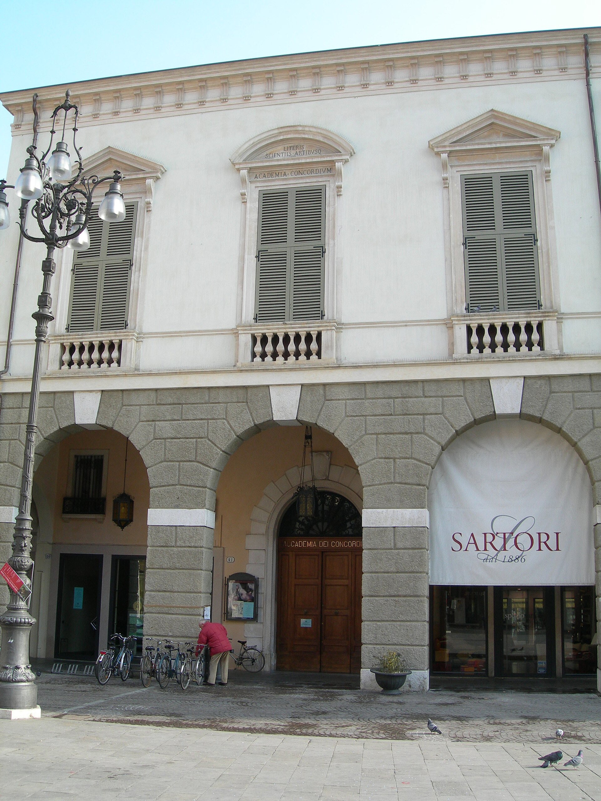 Accademia concordi rovigo